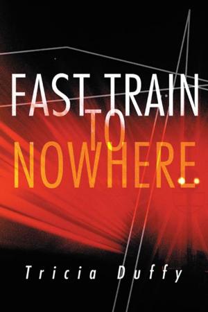 Cover of the book Fast Train to Nowhere by Tim Nicholls