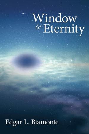 Cover of the book Window to Eternity by Nancy Nikt