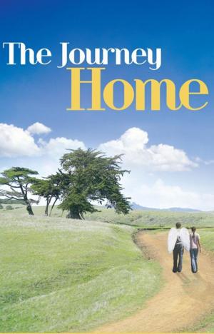 Cover of the book The Journey Home by Angela Blanchet