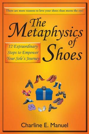 Cover of the book The Metaphysics of Shoes by M W Valbert