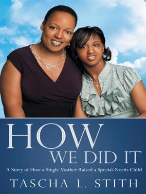 Cover of the book How We Did It by Kat Knecht, Curtis Knecht