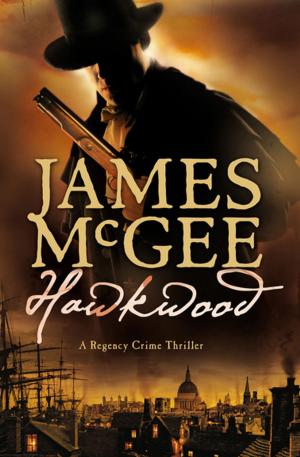 Cover of the book Hawkwood by Traci Medford-Rosow
