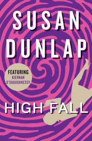 Cover of the book High Fall by Julien Lavenu