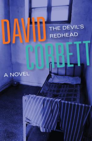 Cover of the book The Devil's Redhead by Dashiell Hammett