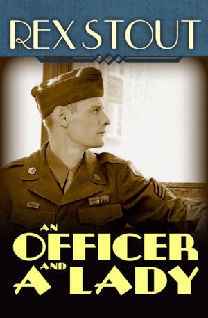 Book cover of An Officer and a Lady: And Other Stories