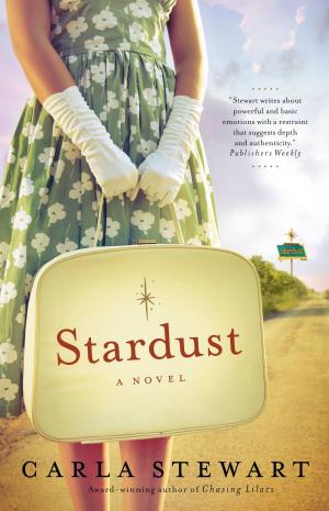 Cover of the book Stardust by Shauna Letellier