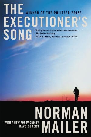 Cover of the book The Executioner's Song by Paul Kaplowitz, Jeffrey Baron