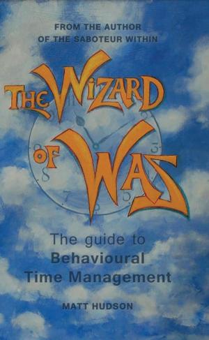Cover of the book The Wizard of Was by Lady La Rouge