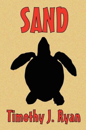 Cover of the book Sand by Shahab Nahvi