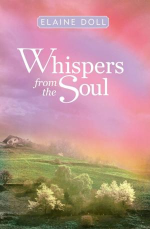 Cover of the book Whispers from the Soul by Heath E. Hoy