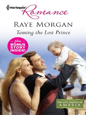 bigCover of the book Taming the Lost Prince & Keeping Her Baby's Secret by 
