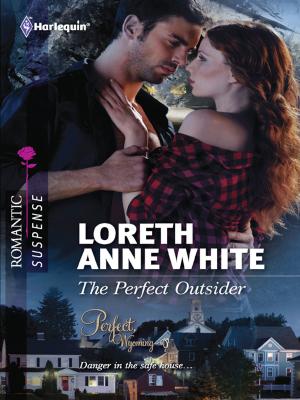 Book cover of The Perfect Outsider