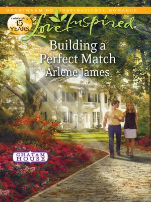 Cover of the book Building a Perfect Match by C.J. Carmichael