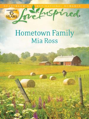Cover of the book Hometown Family by Deidra Scott