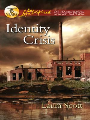 Cover of the book Identity Crisis by Megan Hart