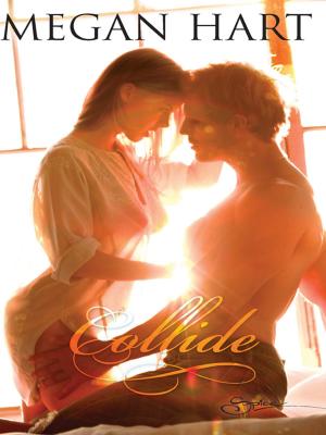Cover of the book Collide by Danielle Norman