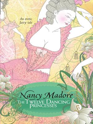 Book cover of The Twelve Dancing Princesses