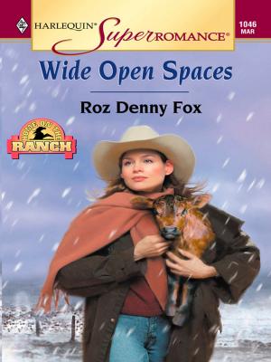 Cover of the book WIDE OPEN SPACES by Patricia Davids, Lee Tobin McClain, Jill Weatherholt