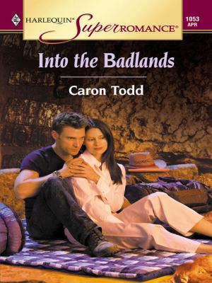 Cover of the book INTO THE BADLANDS by Barbara Hannay