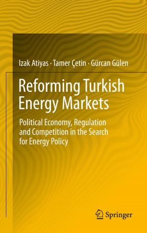 Cover of the book Reforming Turkish Energy Markets by K.G. Manton, Igor Akushevich, Julia Kravchenko