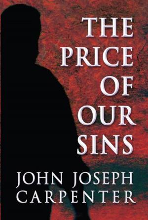 Cover of the book The Price of Our Sins by Frank Maschhoff