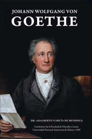 Cover of the book Johann Wolfgang Von Goethe by Adalberto García De Mendoza, Maestra Felisa C. De Garcia De Mendoza