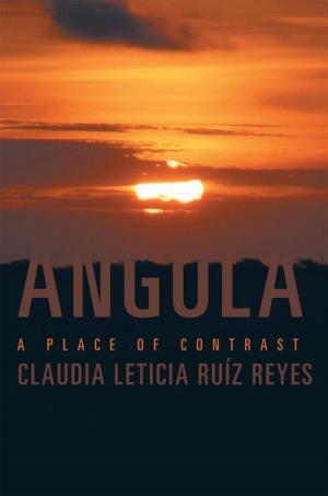 Cover of the book Angola by Carlos Lopez Dzur