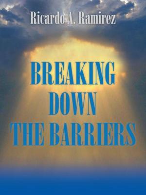 Cover of the book Breaking Down the Barriers by Sherry Peters
