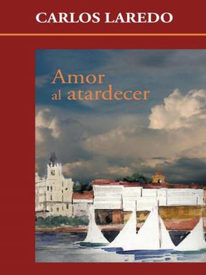 Cover of the book Amor Al Atardecer by José Saul Velásquez Restrepo