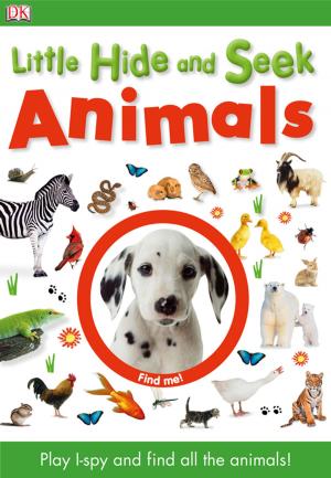 Cover of the book Little Hide and Seek: Animals by John Tullock