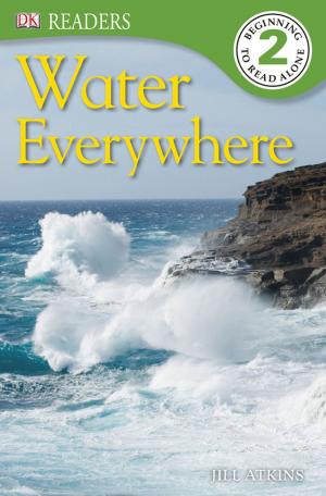 Book cover of DK Readers L2: Water Everywhere