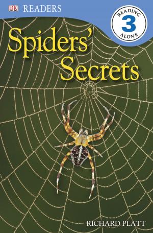 Cover of the book DK Readers L3: Spiders' Secrets by Randy Weinstein, William Melton