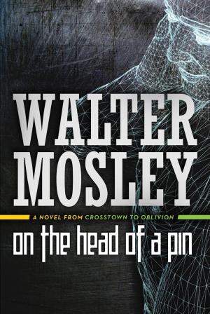 Cover of the book On the Head of a Pin by L. E. Modesitt Jr.