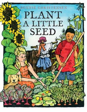 Cover of the book Plant a Little Seed by Betty Hicks