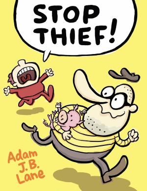Cover of the book Stop Thief! by Jason Chin