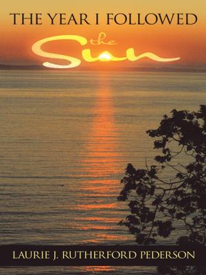 Cover of the book The Year I Followed the Sun by Kirsten E.A. Borg