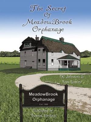 bigCover of the book The Secret of Meadowbrook Orphanage by 