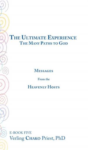 Cover of the book The Ultimate Experience by Mariah Grove
