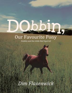 Cover of the book Dobbin, Our Favourite Pony by Raymond Van Zleer