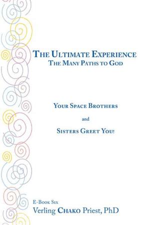 Cover of the book The Ultimate Experience by J.S. Delaney