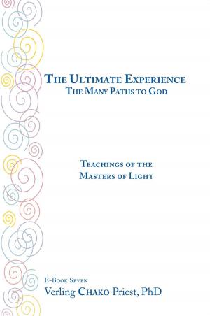 Cover of the book The Ultimate Experience by Stacy - Ann Vousden