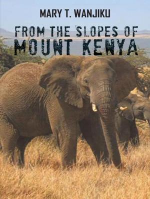 Cover of the book From the Slopes of Mount Kenya by Tiffany Turner