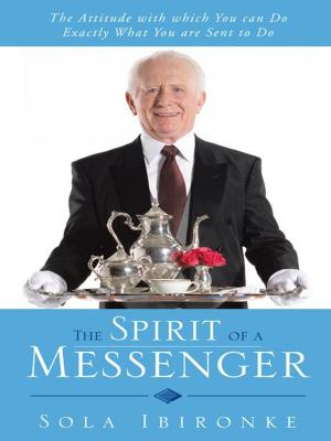Cover of the book The Spirit of a Messenger by Russel T. Shelley