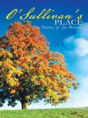 Cover of the book O'sullivan's Place by Barry Jablonski