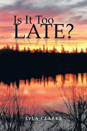 Cover of the book Is It Too Late? by Michael David Lannan