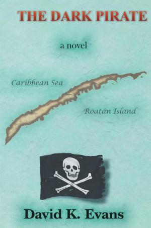 Cover of the book The Dark Pirate by Marcel Arieli