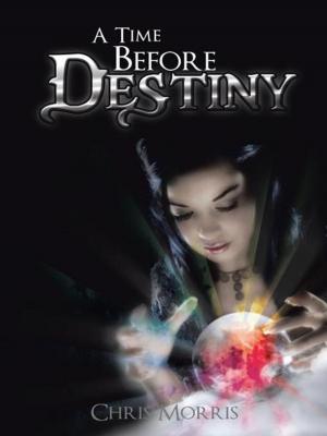 bigCover of the book A Time Before Destiny by 