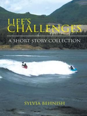 Cover of the book Life's Challenges by Brandon Palmateer