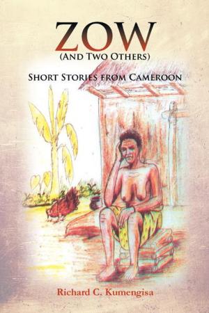 Cover of the book Zow by Ebi Akpeti