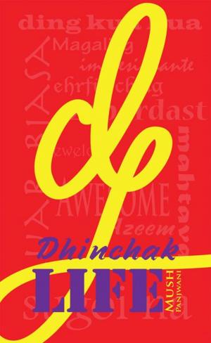 Cover of the book Dhinchak Life by Keith Hickman